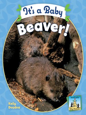 cover image of It's a Baby Beaver